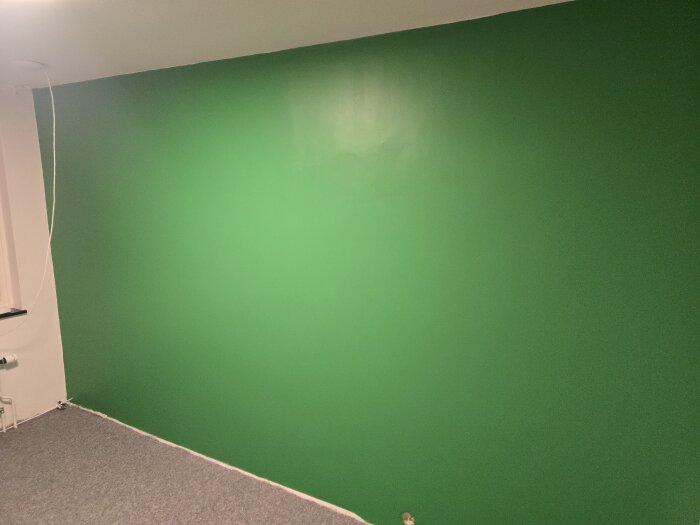 Nymålad grön vägg i ett rum med en gray matta och vita lister, i fixeringsprojekt.