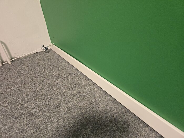 Grönt målat hörn med vit list och grått golv. Eluttag syns delvis i det vänstra hörnet.