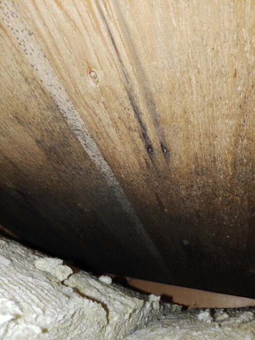 Svartnande takbräda med synliga svarta prickar och fläckar samt isoleringsmaterial i förgrunden.