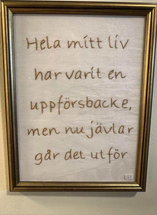 Broderad text i ram: "Hela mitt liv har varit en uppförsbacke, men nu jävlar går det utför.