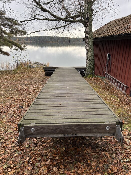 Brygga framför en sjö med träd i bakgrunden. En röd byggnad syns till höger och marken är täckt av höstlöv.