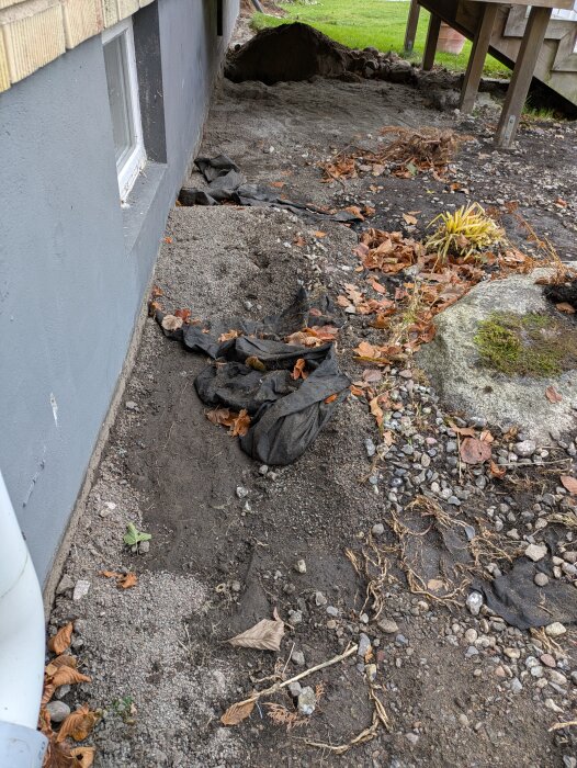 Källargrund med rabatt och markduk, synliga rötter och grus intill huset, höstlöv utspridda, gräsmatta i bakgrunden.