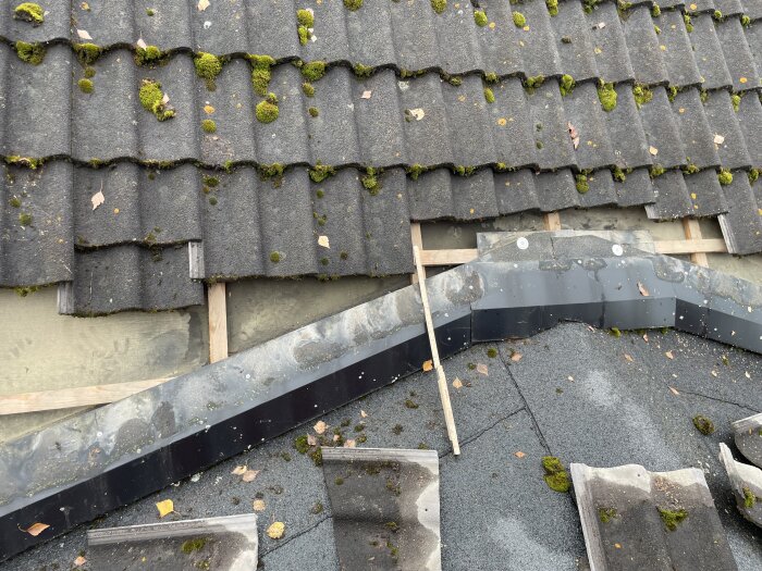 Tak med provisorisk lagning längs nocken, mossiga tegelpannor, tumstock visar problemområdet där vatten rinner in, fotplåt synlig.