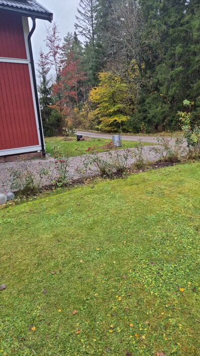 Gräsmatta och grusgång vid ett rött hus, omgiven av träd. Ett område för nya stolplyktor syns.