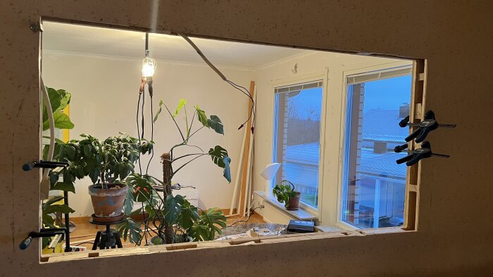 Öppning i väggen med innervägg i fokus, omgiven av verktyg och växter. Ljuskälla hänger ovanför i ett rum utan foder eller lister.