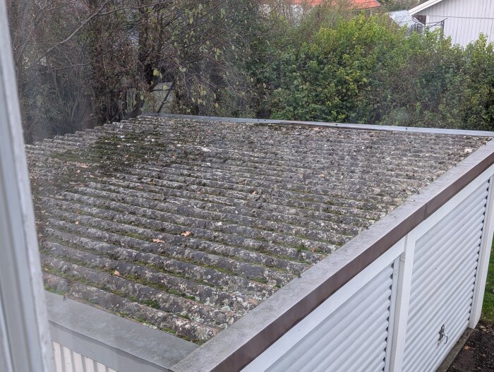 Eternittak på ett dubbelgarage med synlig mossa och sprickor, omgiven av gröna buskar och träd. Taken är del av en diskussion om provisorisk lagning.