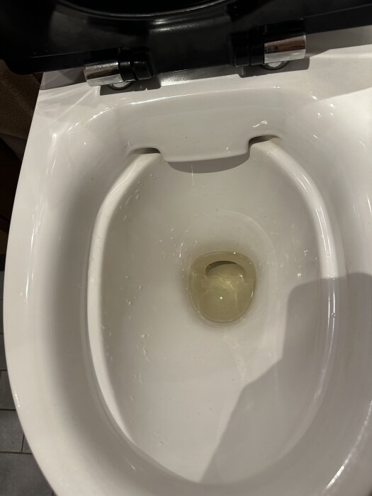 Toalett med gulaktigt vatten, utan rostränder.