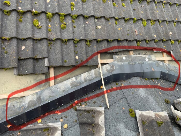 Inringad plåt på taket utan tegelpannor, med mossa och löv runtomkring.