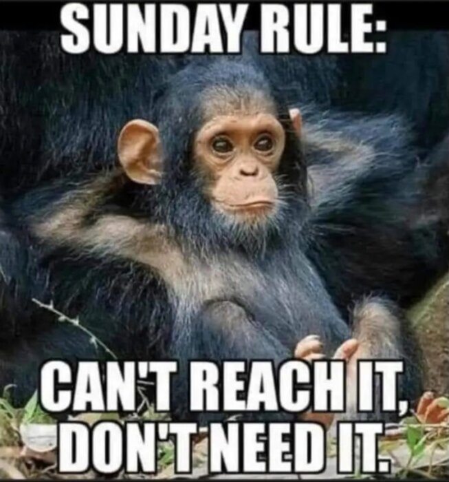 Schimpans som lutar sig tillbaka med texten "Sunday rule: Can't reach it, don't need it.