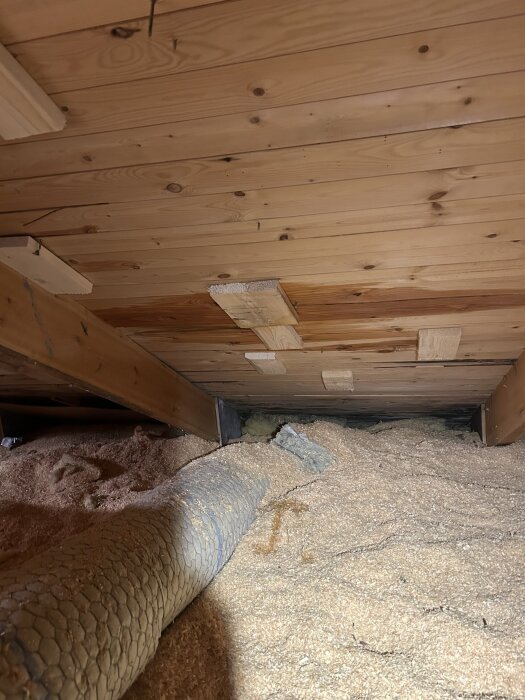 Träpanel i ett innertak med förstärkningsbrädor; sågspån och ett rör ligger ovanpå isolering i ett vinden.