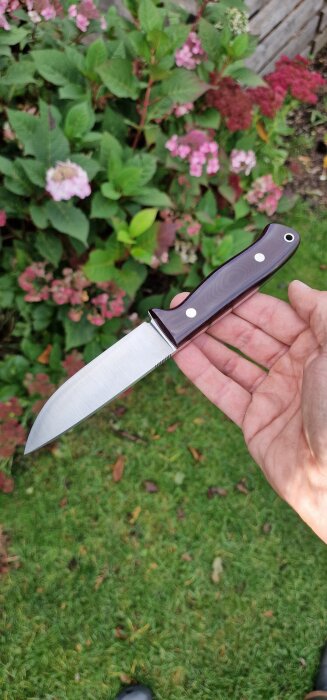 Hand håller en kniv med trähandtag mot bakgrund av grönt gräs och blommor.