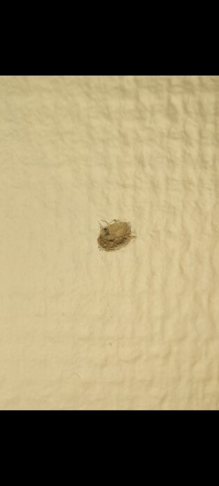 Bild av ett oregelbundet borrhål i en beige vägg, möjligen med spånor och tecken på OSB-trä bakom.