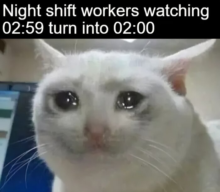 En ledsen vit katt med tårfyllda ögon framför en datorskärm, text ovanför säger "Night shift workers watching 02:59 turn into 02:00".