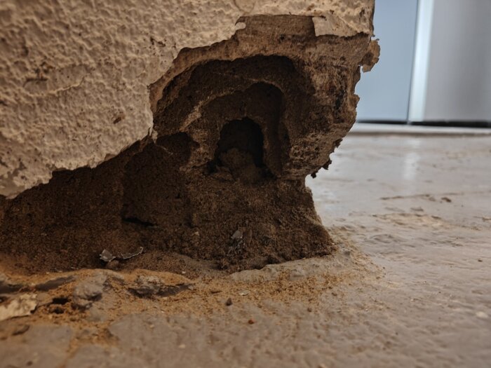 Närbild på en skadad vägg av betonghålsten med synlig erosion och smuligt material vid golvet, potentiellt fri från tak och golv.