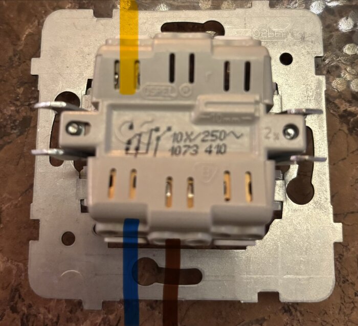 Elektrisk väggströmbrytare i metallram med märkning 10x250V och nummer 1073 410, monterad mot en brun yta.