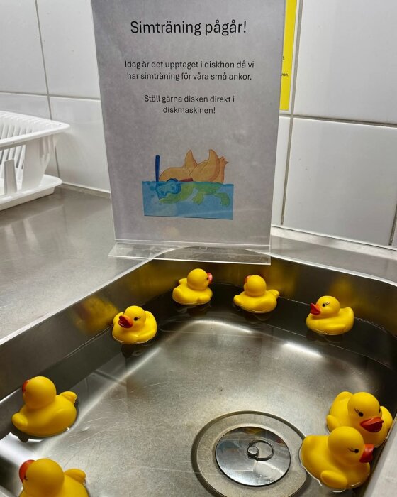Gula badankor flyter i diskhon bredvid en skylt med texten "Simträning pågår!" som uppmanar att sätta disken direkt i diskmaskinen.