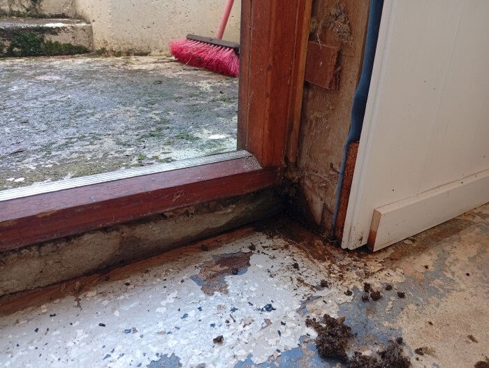 Fukt- och vattenskada vid dörrkarm i källare, med blött trä och isolering synligt, betongplatta utomhus är högre. Röd sopkvast i bakgrunden.