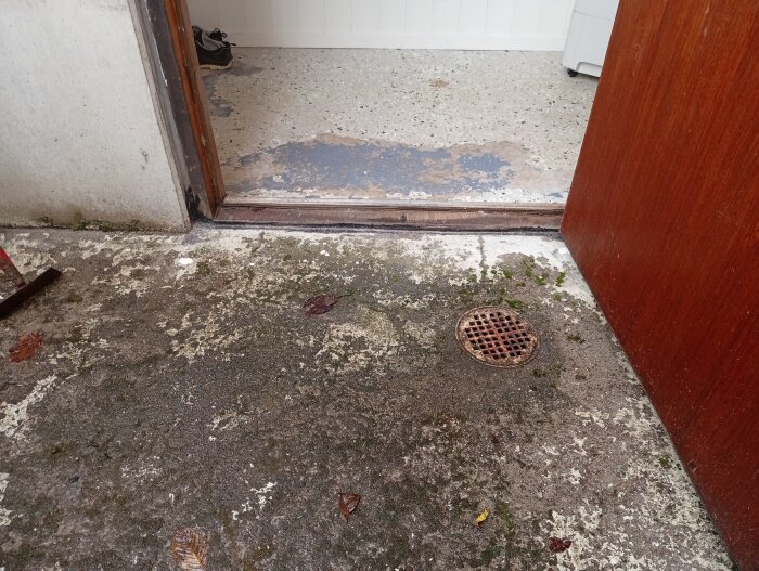 Slitet golv med avloppsbrunn vid dörröppning, del av ett rum. Golvet är delvis fuktigt med några löv och lavar nära brunnen.