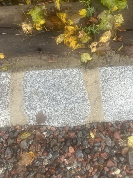 Grå storgatsten med ljusa fogar, singel och vissna löv i en trädgårdsanläggning.