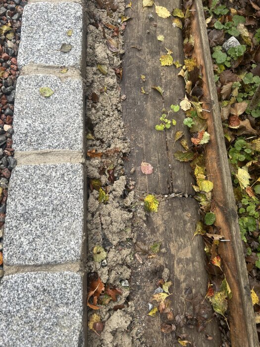 Ojämn fogmassa vid grå gatsten, delvis med löv och smuts på marken, bredvid en träyta med fler löv.