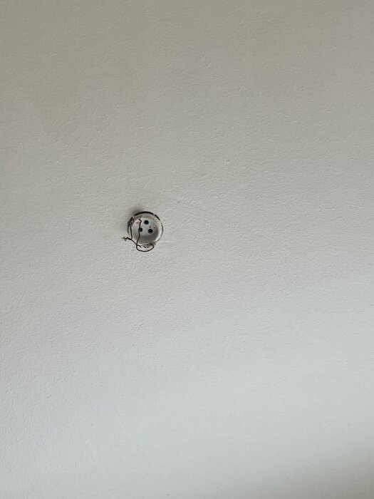 Takuttag i gammal lägenhet med synliga elkablar, för installation av lamphållare.