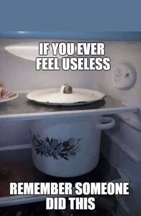 I ett kylskåp täcker ett litet lock en stor kastrull och ett humoristiskt budskap uppmanar läsaren att inte känna sig värdelös.