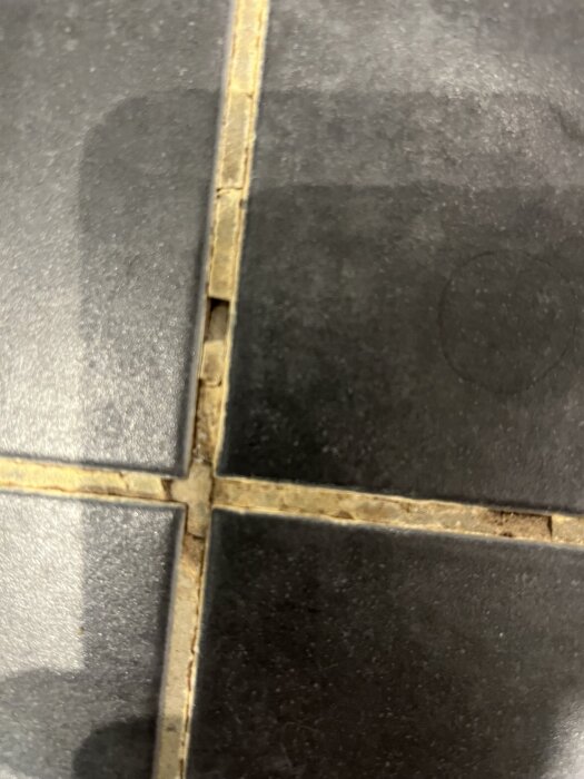 Närbild på svart kakel med sprickor i fogarna, diskussion om våtrumsstatus och golvbrunnen.