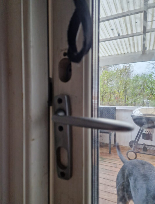 Altandörr med handtag och låsmekanism synliga, utsikt mot terrass med en grill och möbler i bakgrunden. Hund syns delvis genom glaset.
