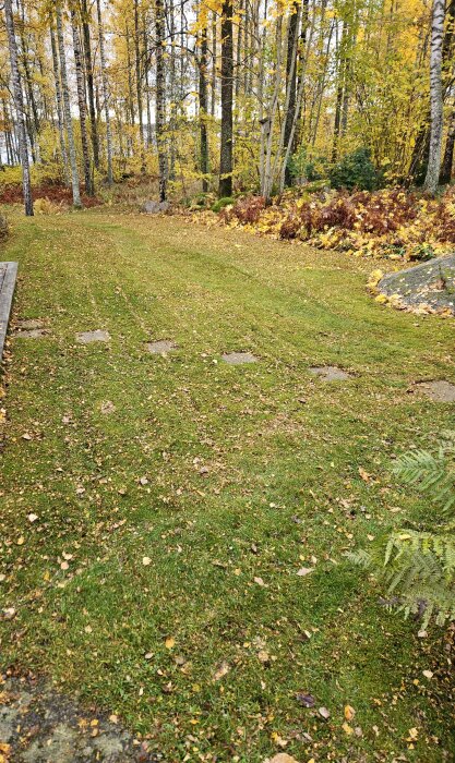 Nyklippt gräsmatta vid sidan av ett hus, omgiven av höstlöv och träd.