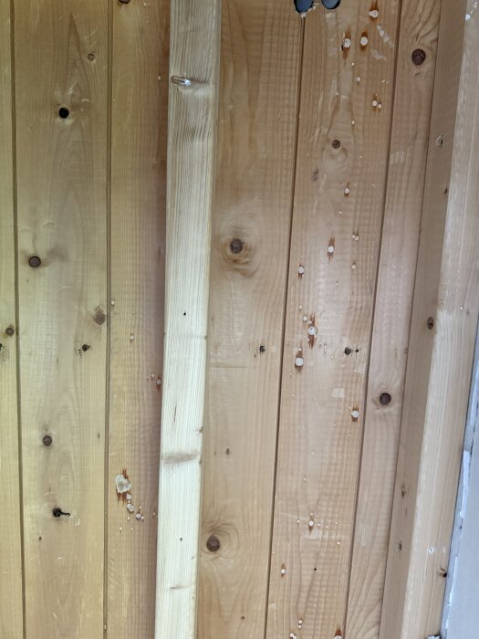 Träplankor i ett innertak med vita runda ringar synliga på ytan.