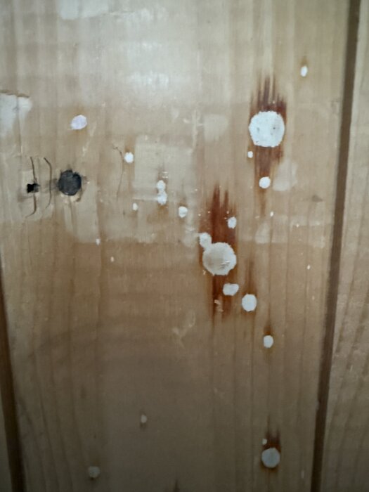 Närbild av träpanel med vitmålade fläckar och mörka märken.