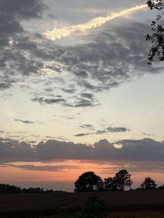 Solnedgång över fält och träd med himlen i orange och rosa nyanser, moln utspridda på himlen.
