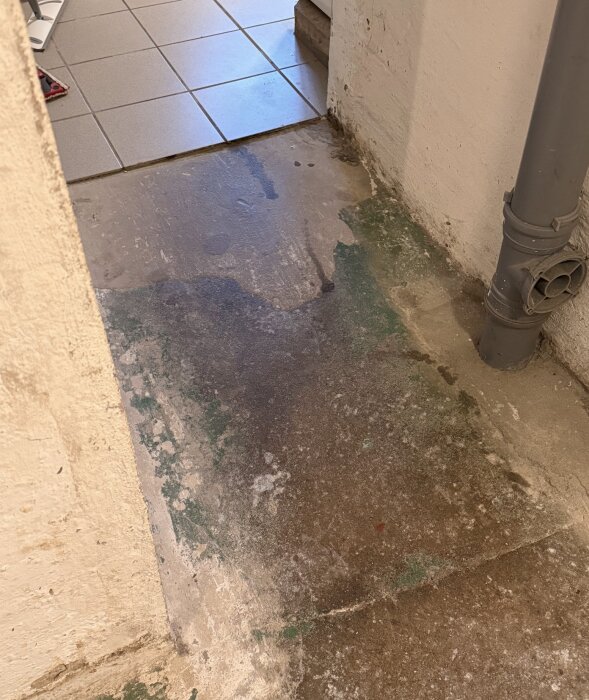 Källargolv med gammal betong och avloppsrör, delvis klinkrat i bakgrunden. Diskuteras inredning av källaren.