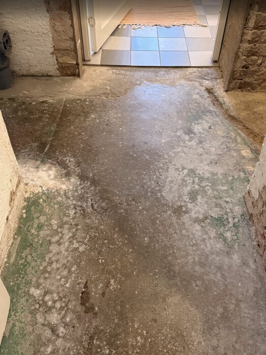 Betonggolv i en källare, delvis täckt med gröna fläckar och vita avlagringar. En dörr öppnar mot ett rum med klinkergolv.