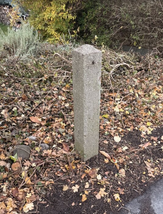 Gammal betongstolpe i marken, omgiven av löv och grenar, i en trädgårdsmiljö med vegetation i bakgrunden.