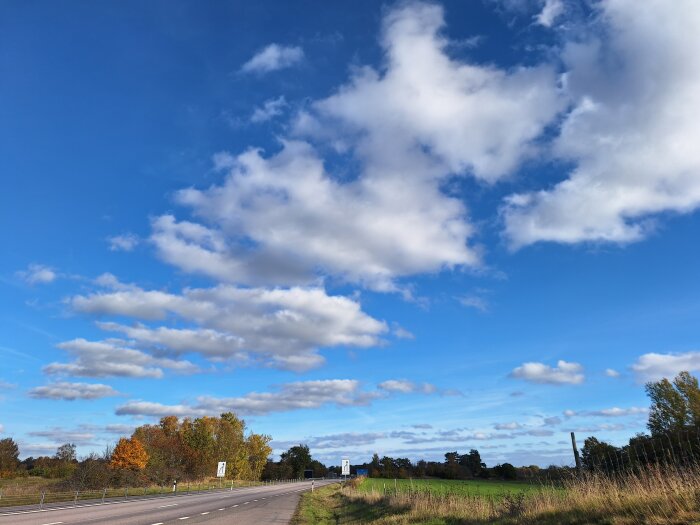Landskap med landsväg, blå himmel och vita moln, omgivna av träd i höstfärger längs vägen.
