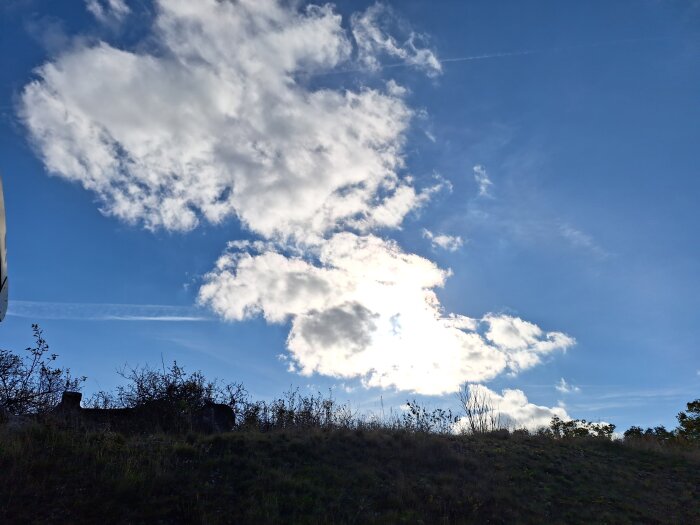 Molnig himmel med blå bakgrund och silhuett av buskar och träd på en slänt i förgrunden.