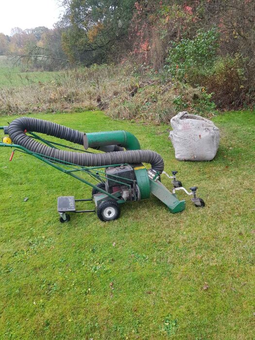 Grön lövsug på gräsmatta med stor påse i bakgrunden, omgiven av träd och buskar.