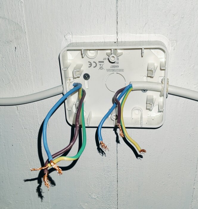 Elektrisk kopplingsdosa med flera oskyddade trådledningar i olika färger, monterad på en vit vägg.