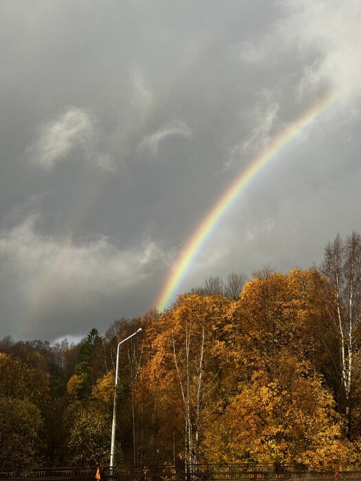 Dubbel regnbåge över höstlandskap med färgglada löv och molnig himmel. En lyktstolpe i förgrunden.