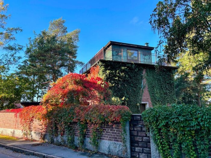 30-tals villa med sjöutsikt täckt av grönskande klätterväxter och omgiven av träd.