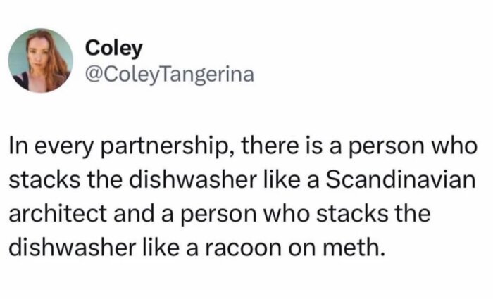 Tweet om hur människor packar diskmaskinen: som en skandinavisk arkitekt eller som en tvättbjörn på metamfetamin.