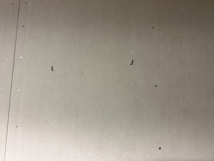 Brun vägg med två små larver som klättrar vertikalt.