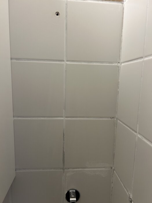 Kakelvägg med ojämnt applicerad fogfärg i en gästtoalett/duschrum under renovering. En skruvhål syns i övre del av bilden.