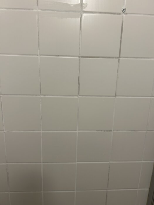 Vitt kakel med synliga fogar där fogfärgen delvis misslyckats att fästa.