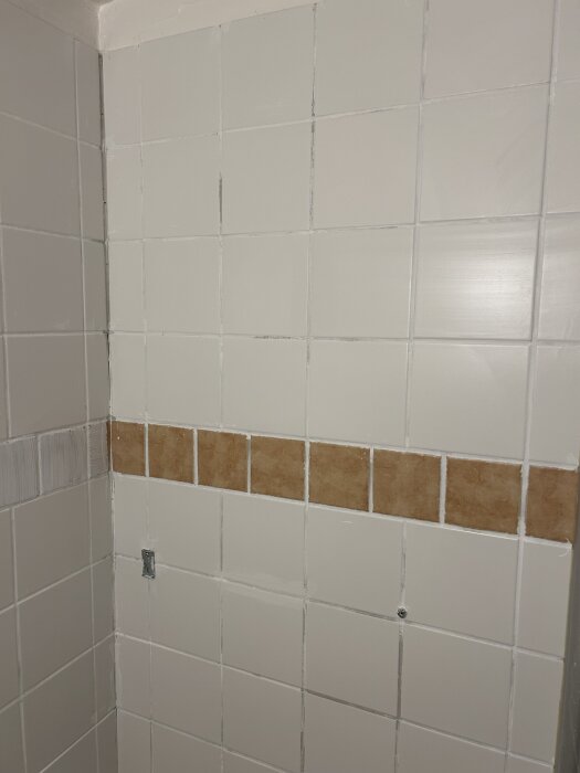 Vitt kakel med bruna fogar i ett duschrum, med en terracottafärgad bård i mitten. Fogarna visar missfärgning och ojämn fogning.