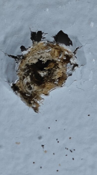 Hål i tak med frilagd material, osäkerhet om det är träfiber eller asbest, ser ihåligt ut efter lampborttagning i renoverat 70-tals hus.