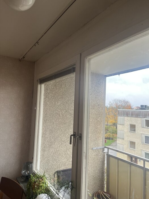 Kök med stora fönster, delvis borttagen tapet och växter på fönsterbrädan. Balkong och höstlöv syns utanför.