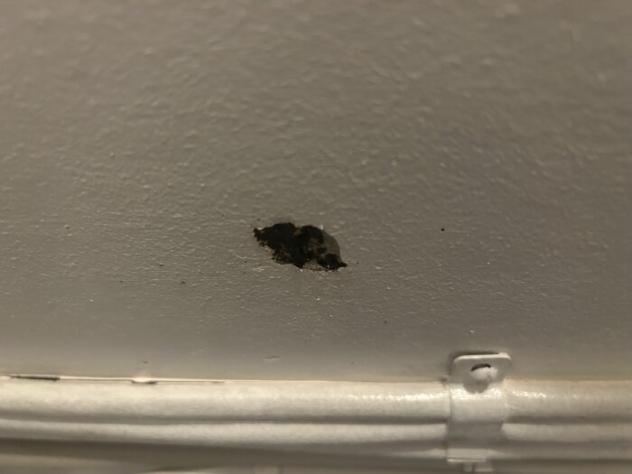 Skadat innertak med ett mörkt märke i ett källarrum, möjligen med fibercementskiva.
