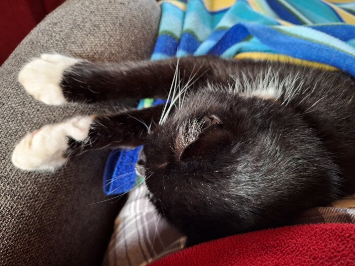 Svartvit katt vilar under en färgglad filt på en soffa.